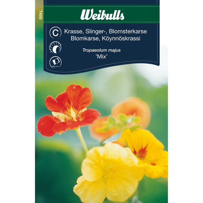 Blomsterkarse mix